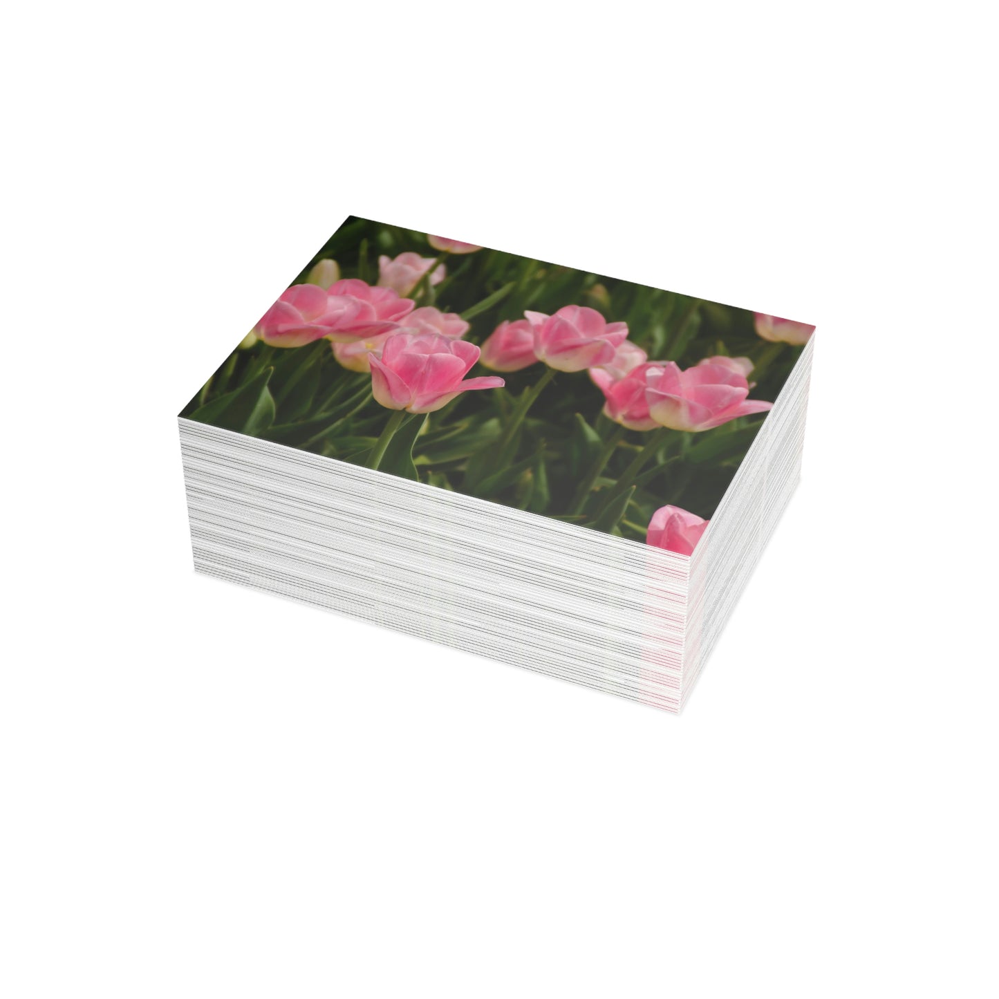 Flowers 17 Greeting Card Bundles (envelopes not included)