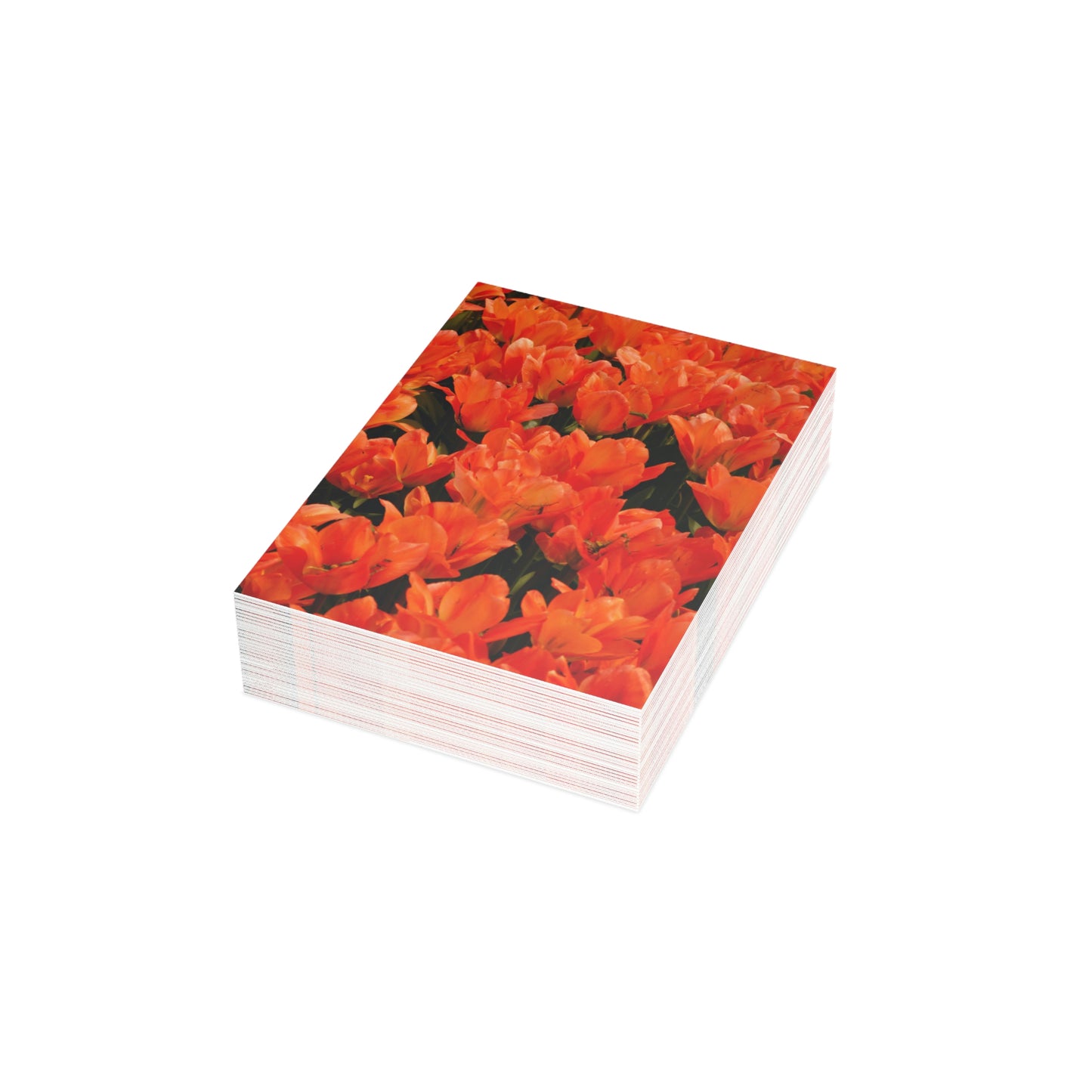 Flowers 03 Greeting Cards (1, 10, 30, and 50pcs)