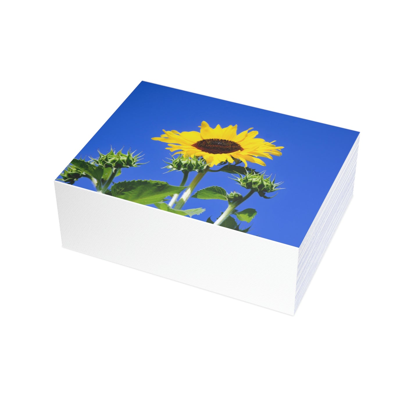 Flowers 01 Greeting Card Bundles (envelopes not included)