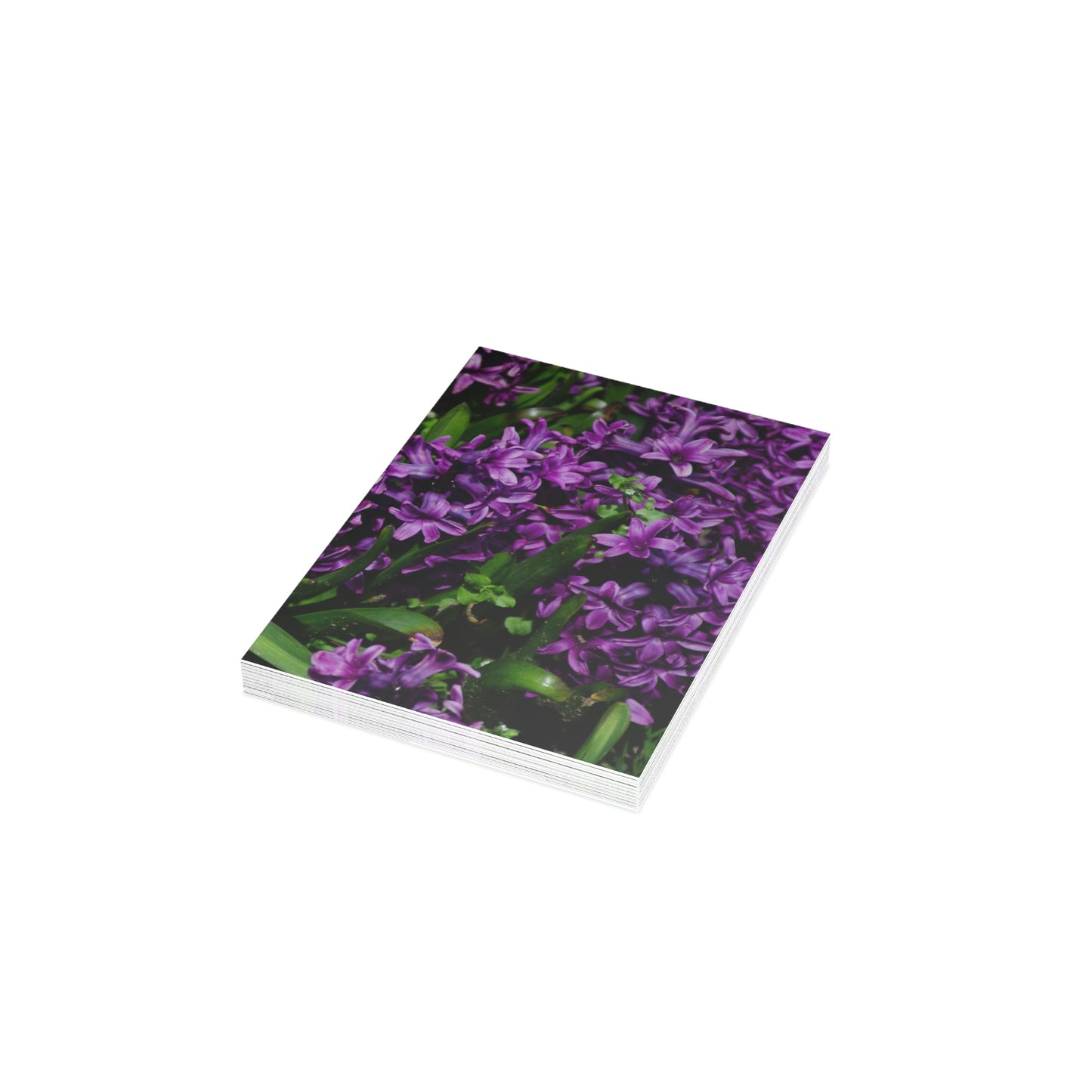 Flowers 21 Greeting Cards (1, 10, 30, and 50pcs)