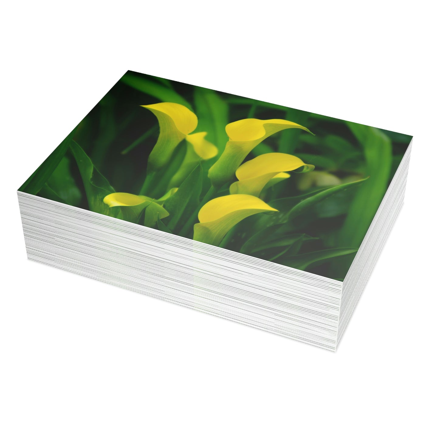 Flowers 33 Greeting Card Bundles (envelopes not included)