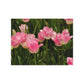 Flowers 17 Greeting Card Bundles (envelopes not included)