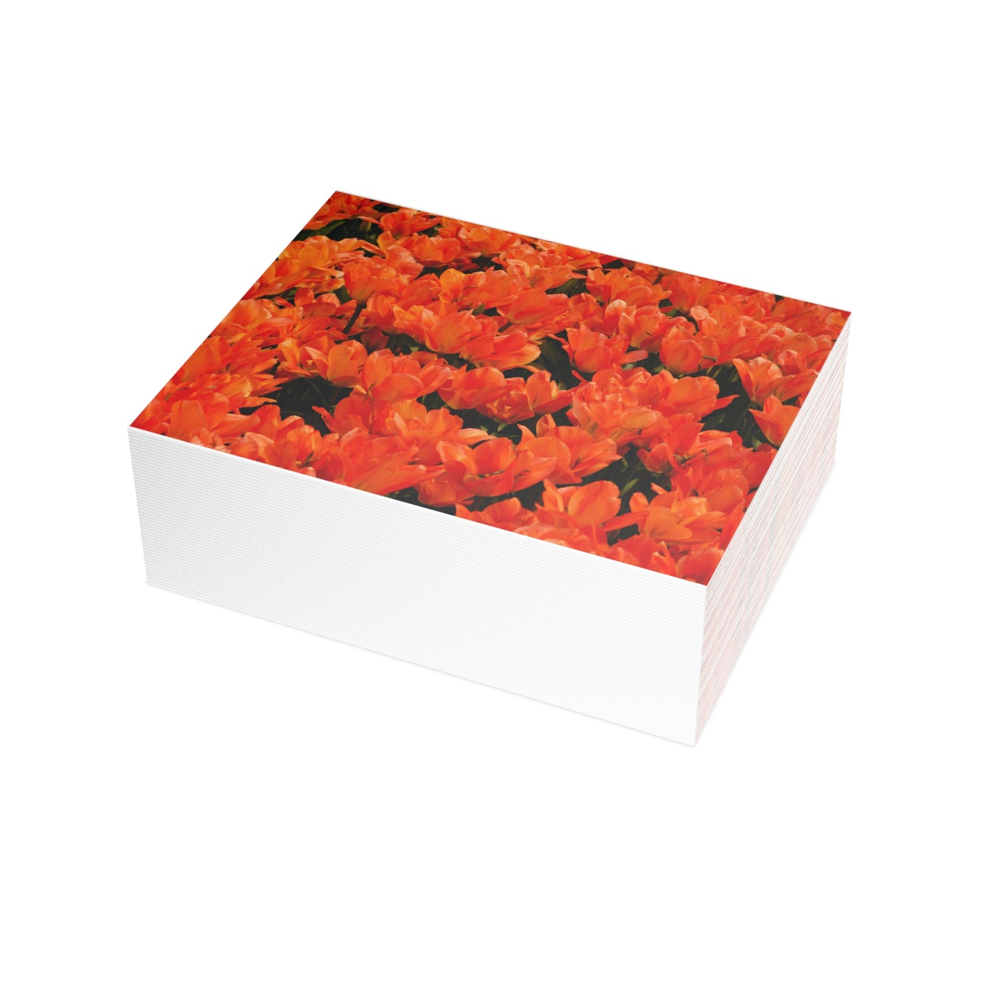 Flowers 02 Greeting Card Bundles (envelopes not included)