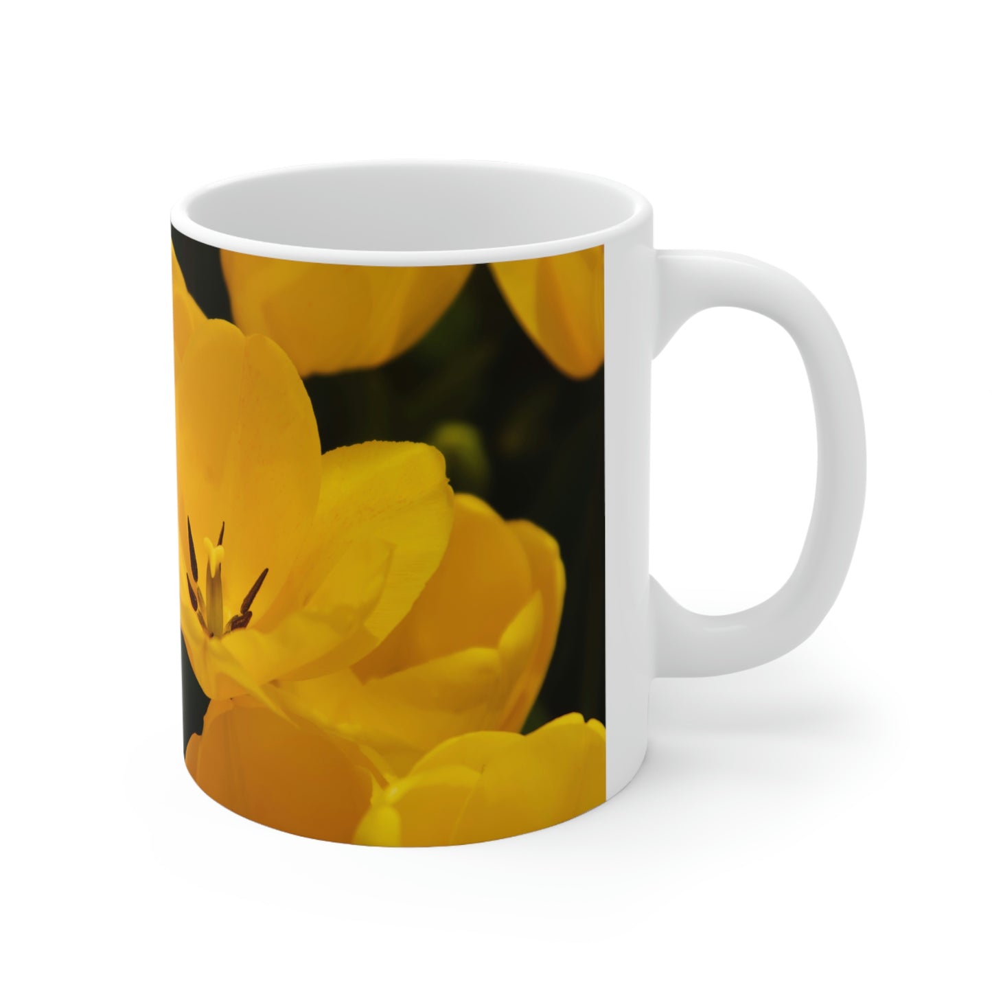 Flowers 16 Ceramic Mug 11oz