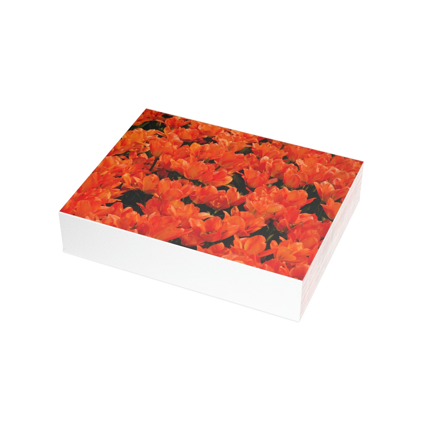 Flowers 02 Greeting Card Bundles (envelopes not included)