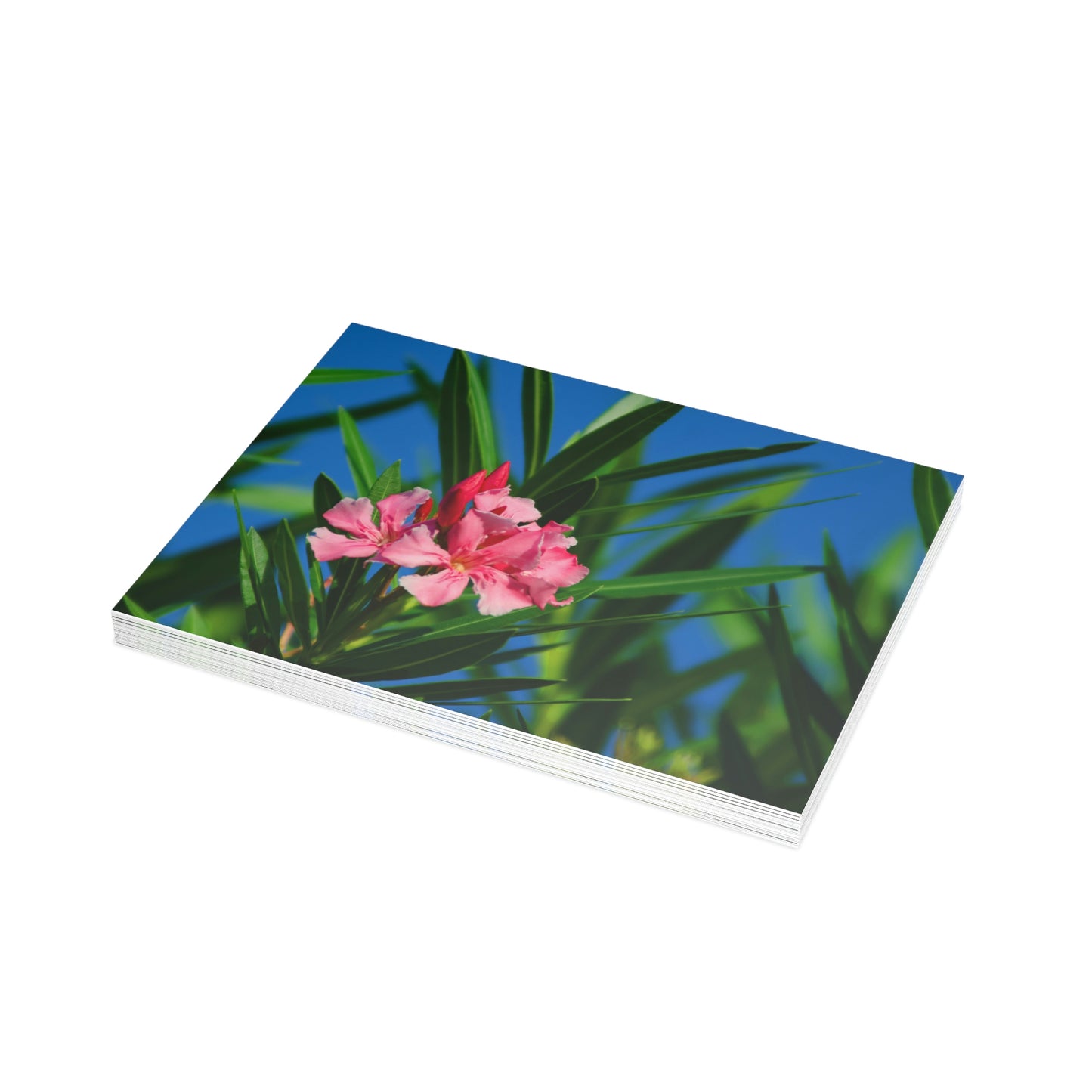 Flowers 30 Greeting Card Bundles (envelopes not included)