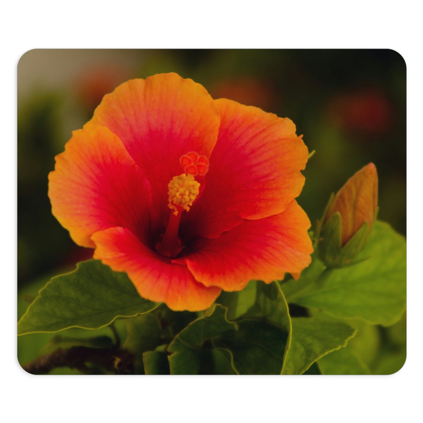 Flowers 29 Rectangle Mouse Pad