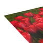 Flowers 22 Greeting Cards (1, 10, 30, and 50pcs)