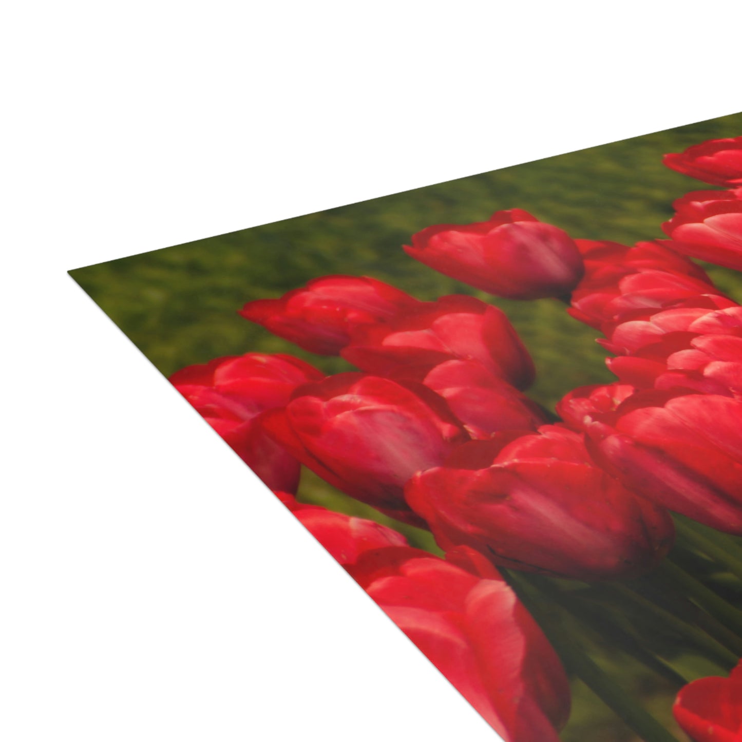 Flowers 22 Greeting Cards (1, 10, 30, and 50pcs)