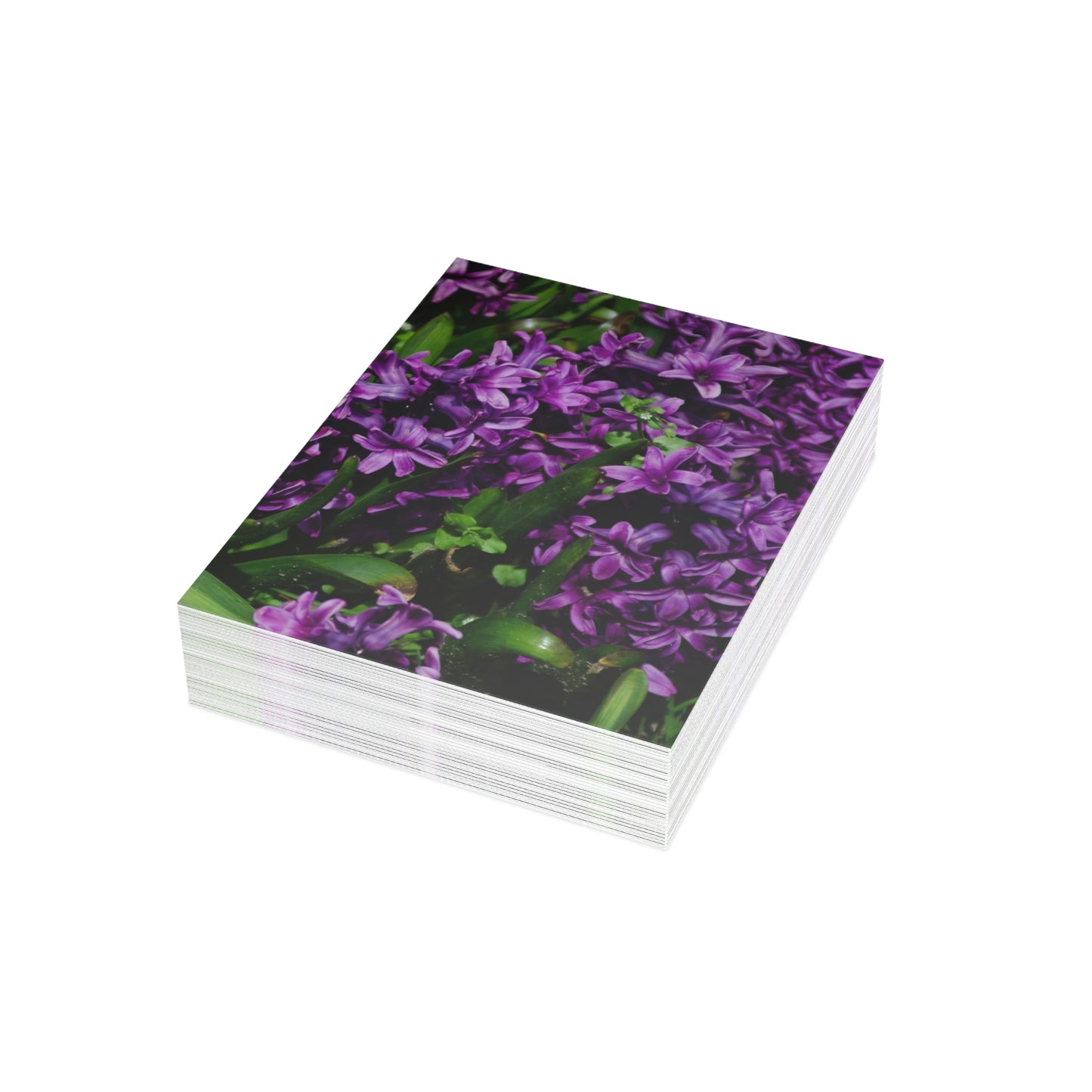 Flowers 21 Greeting Cards (1, 10, 30, and 50pcs)