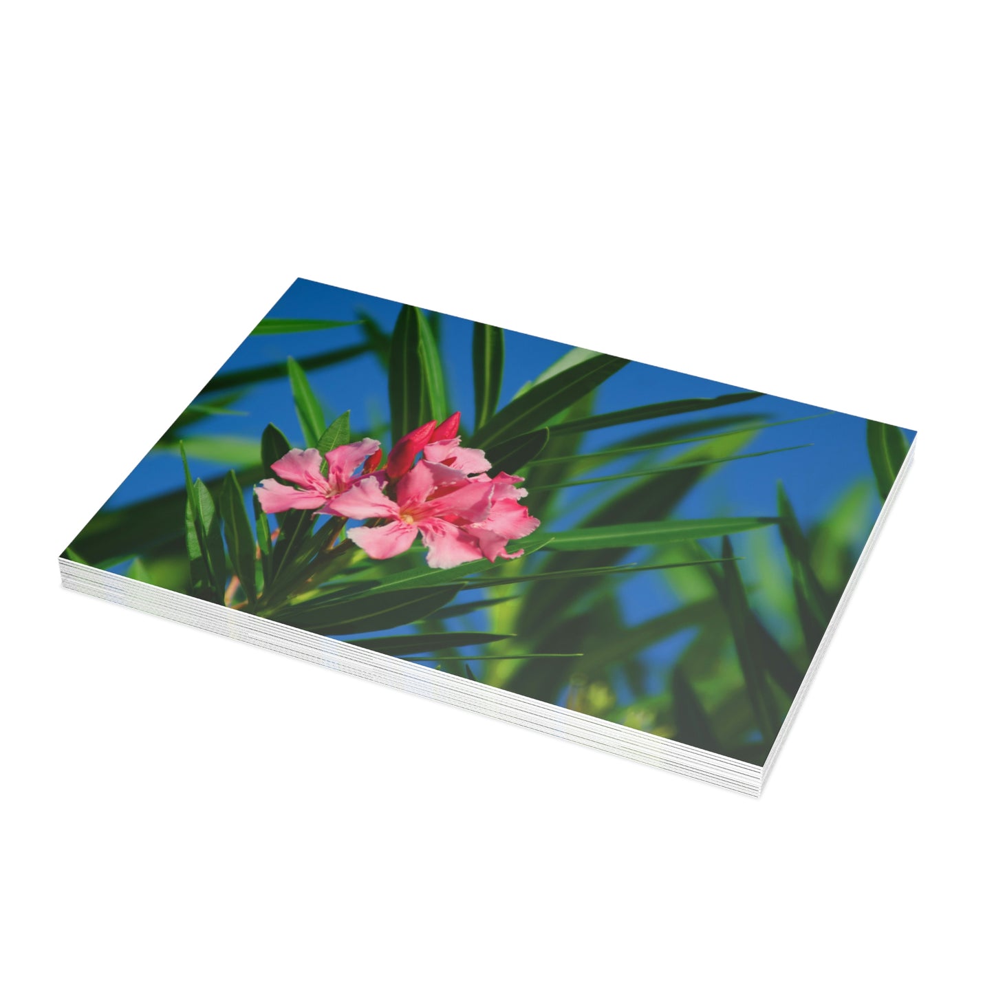 Flowers 30 Greeting Card Bundles (envelopes not included)