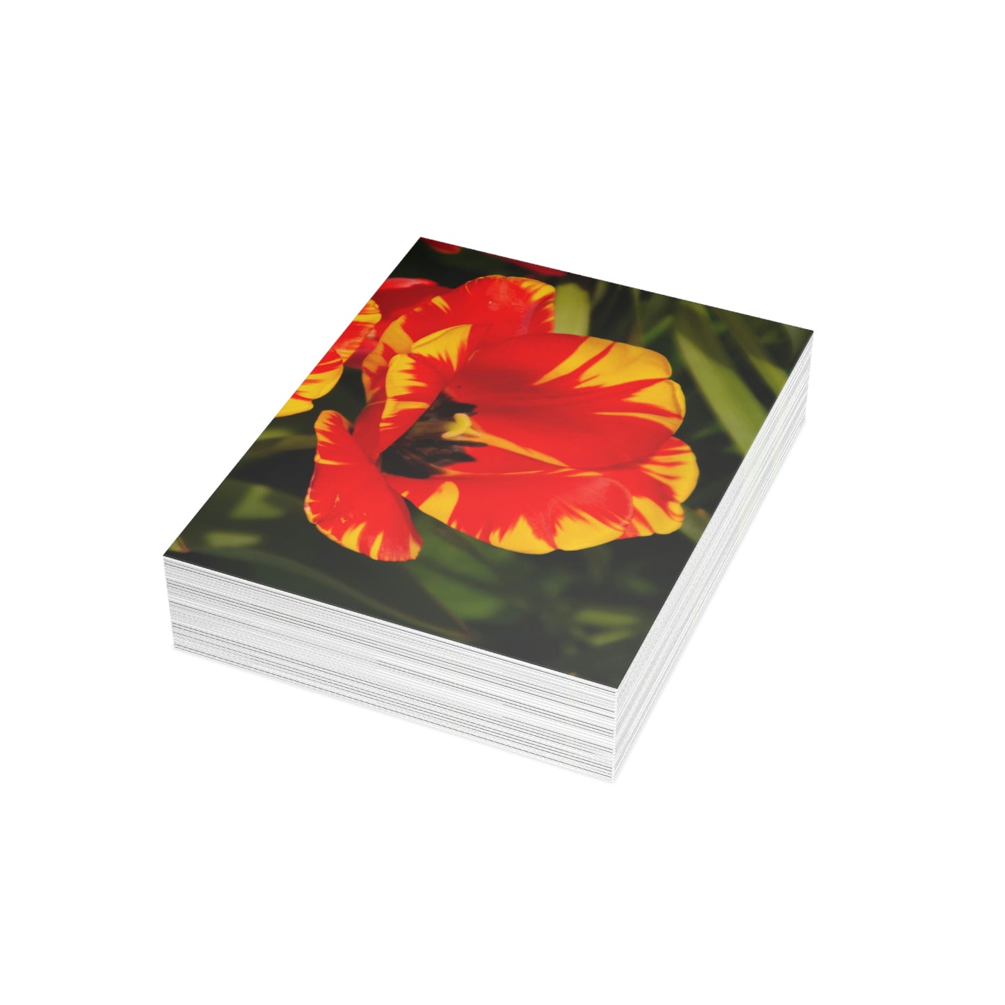 Flowers 09 Greeting Cards (1, 10, 30, and 50pcs)