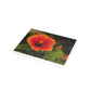 Flowers 31 Greeting Card Bundles (envelopes not included)