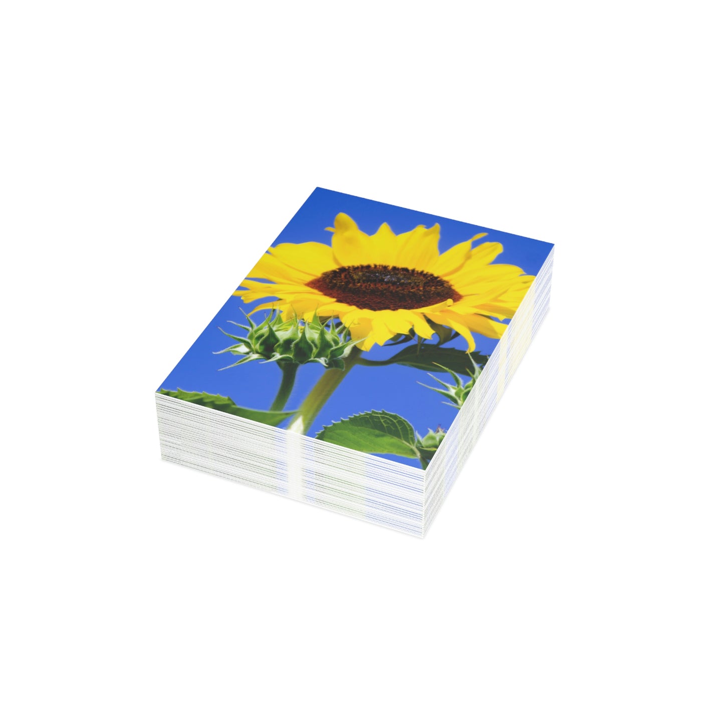 Flowers 02 Greeting Cards (1, 10, 30, and 50pcs)