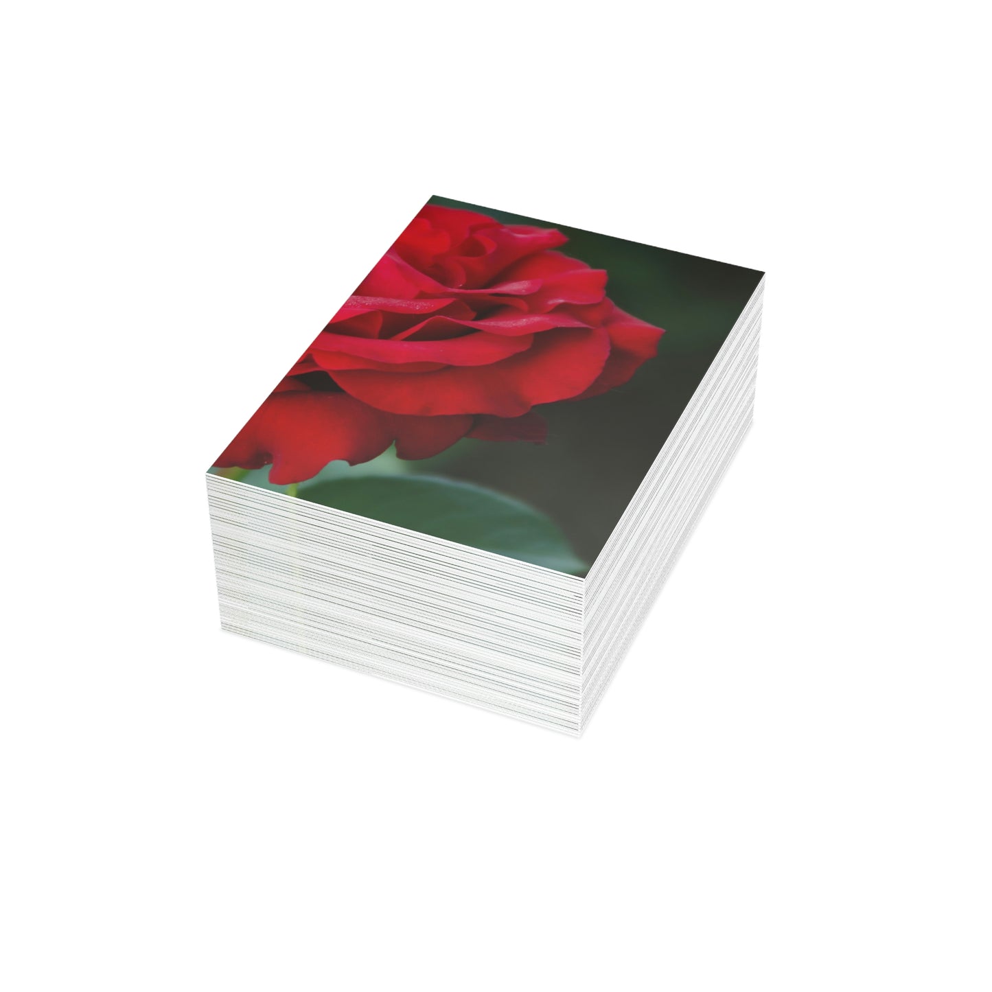 Flowers 13 Greeting Cards (1, 10, 30, and 50pcs)