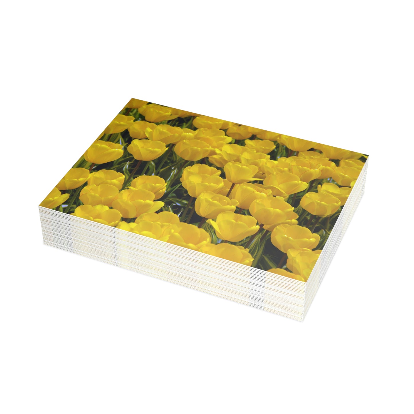 Flowers 24 Greeting Card Bundles (envelopes not included)