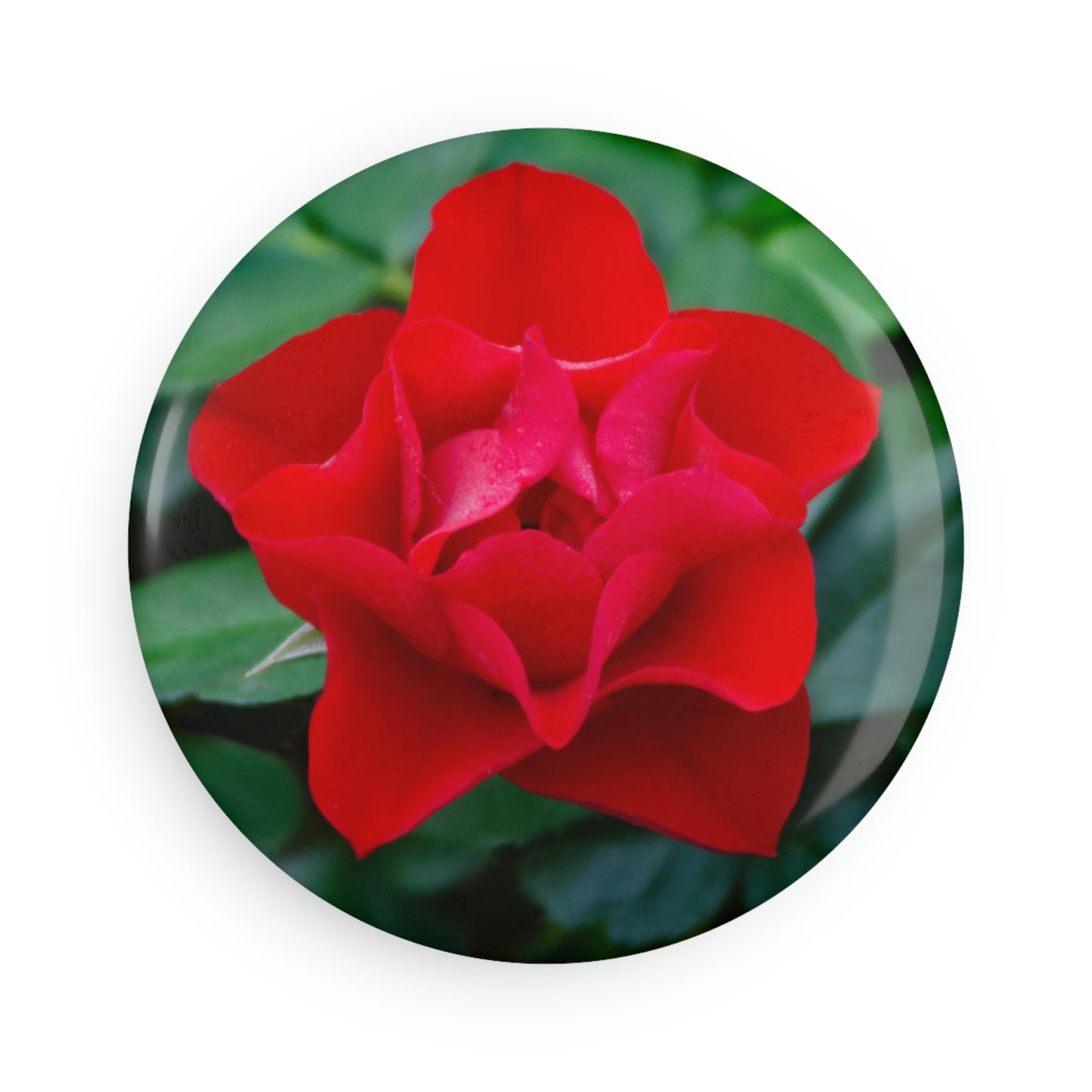 Flowers 07 Button Magnet, Round (1 & 10 pcs)