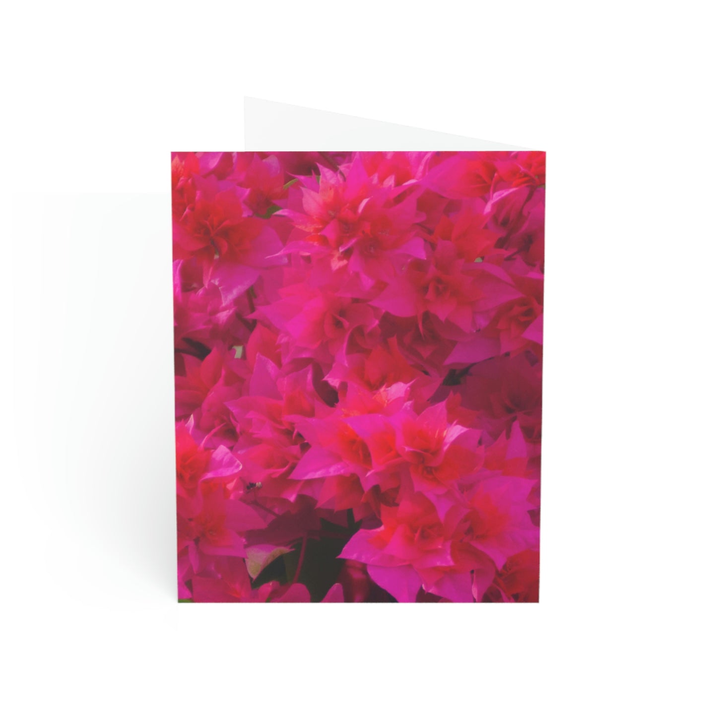 Flowers 27 Greeting Cards (1, 10, 30, and 50pcs)