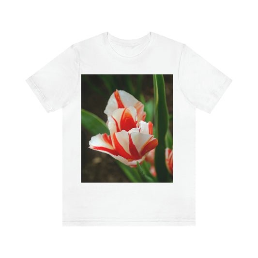 Flowers 06 Unisex Jersey Short Sleeve Tee