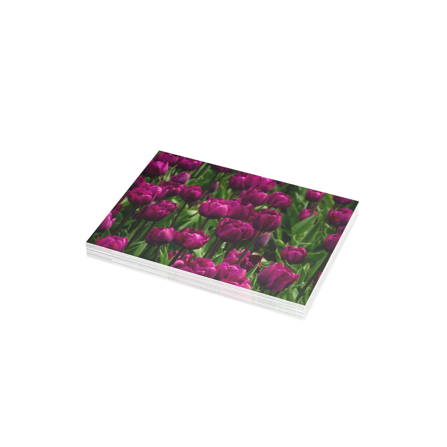 Flowers 18 Greeting Card Bundles (envelopes not included)