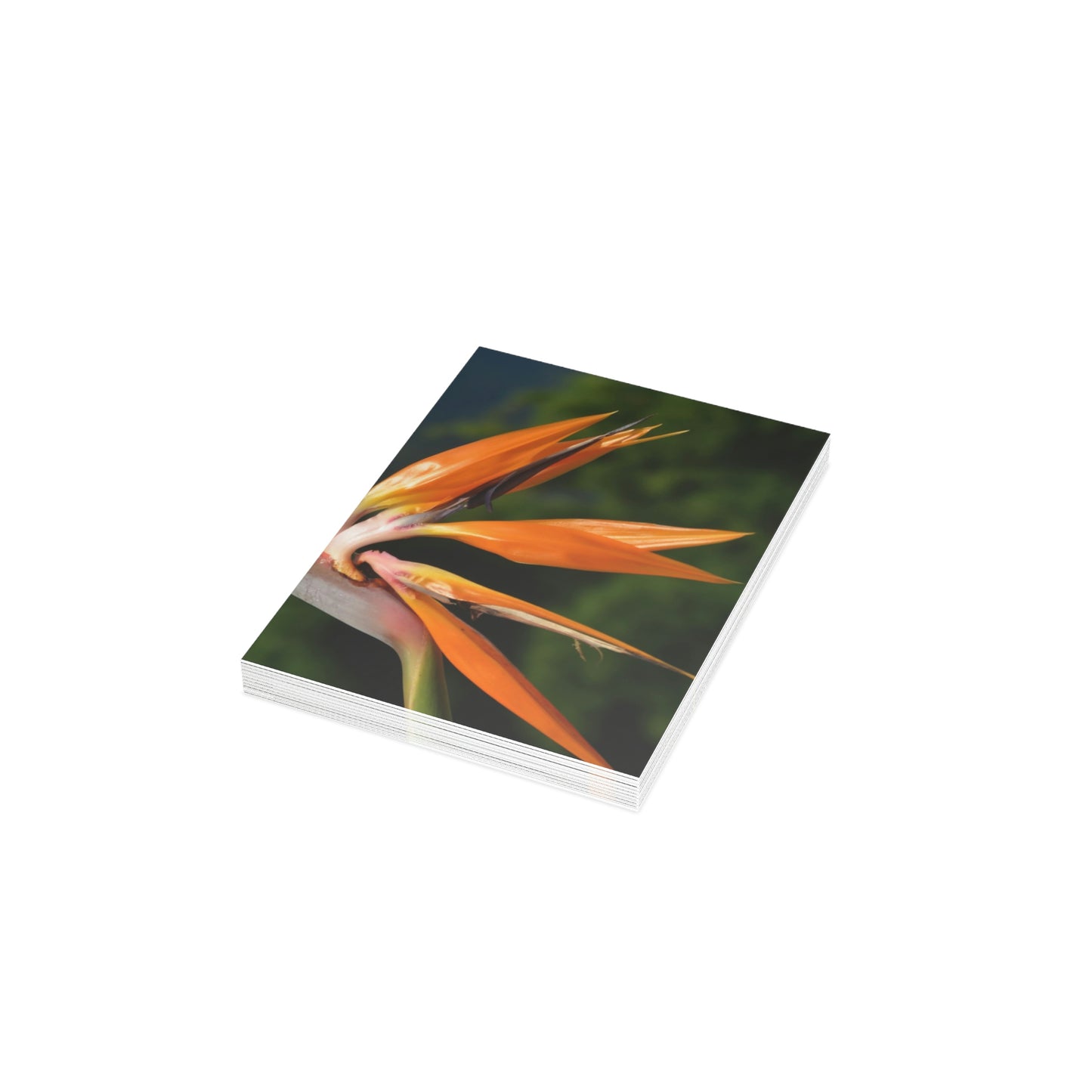 Flowers 26 Greeting Cards (1, 10, 30, and 50pcs)