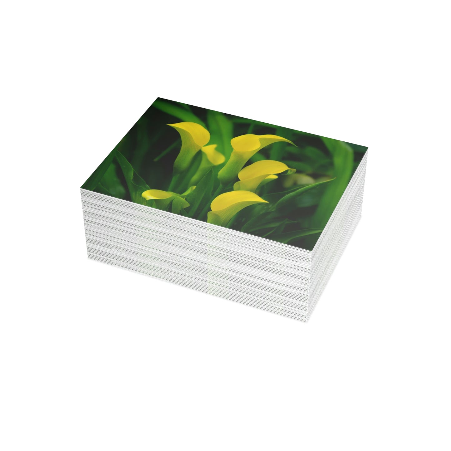 Flowers 33 Greeting Card Bundles (envelopes not included)