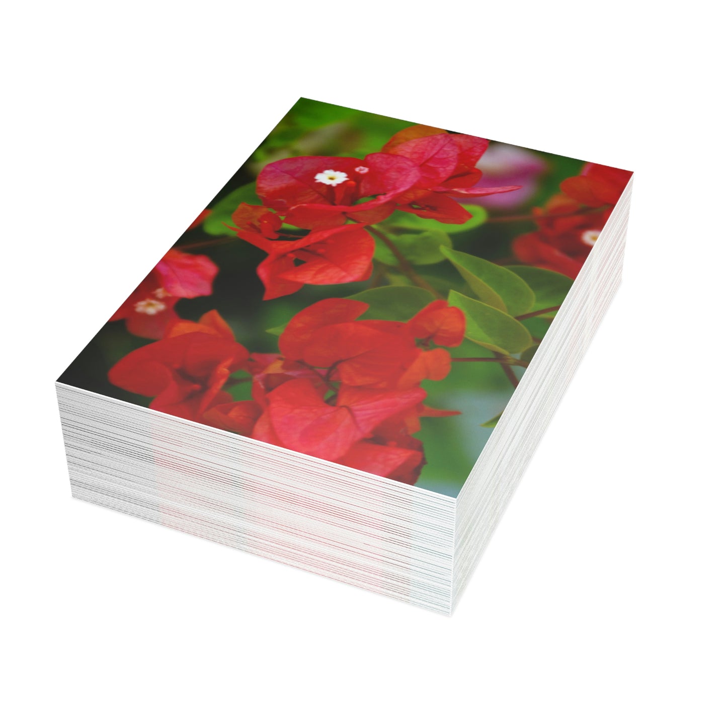 Flowers 27 Greeting Card Bundles (envelopes not included)