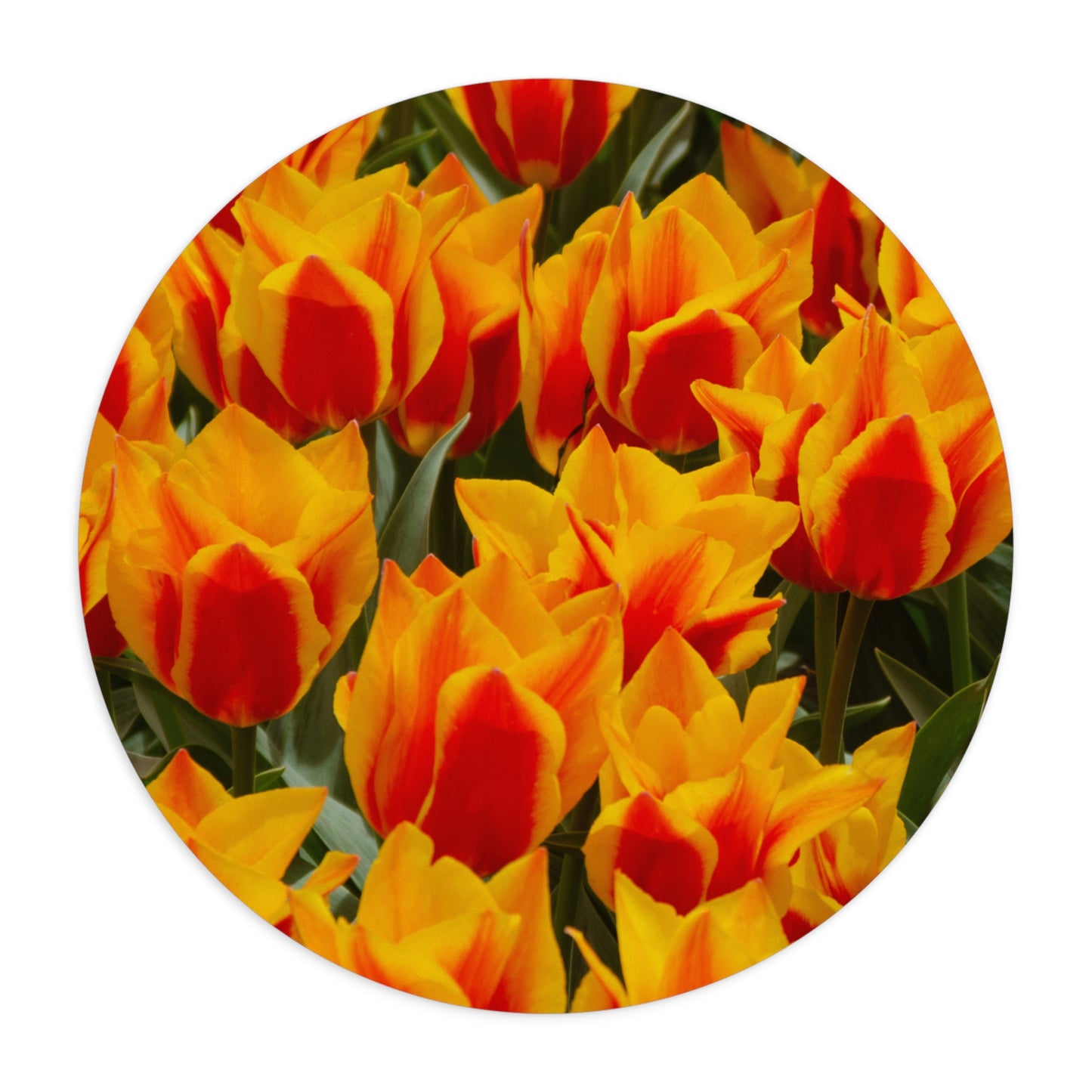 Flowers 17 Mouse Pad