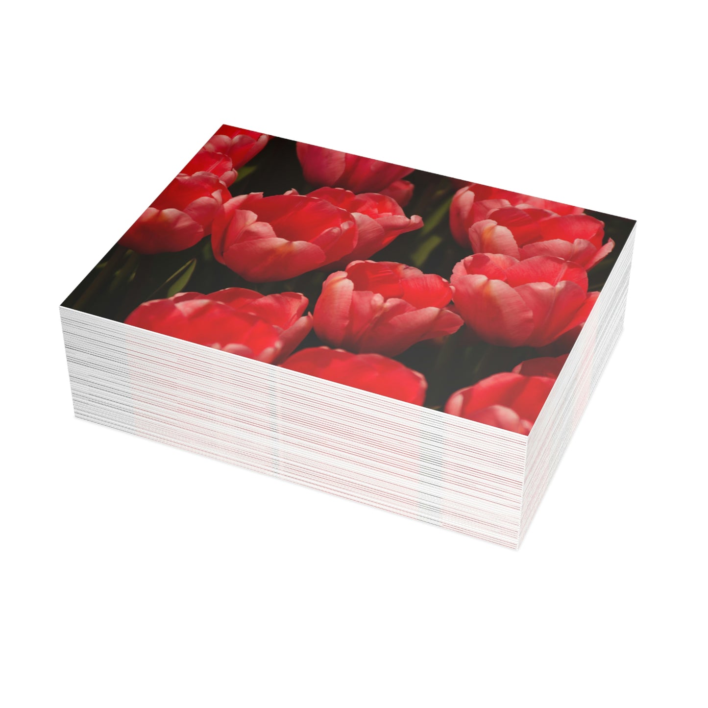 Flowers 09 Greeting Card Bundles (envelopes not included)