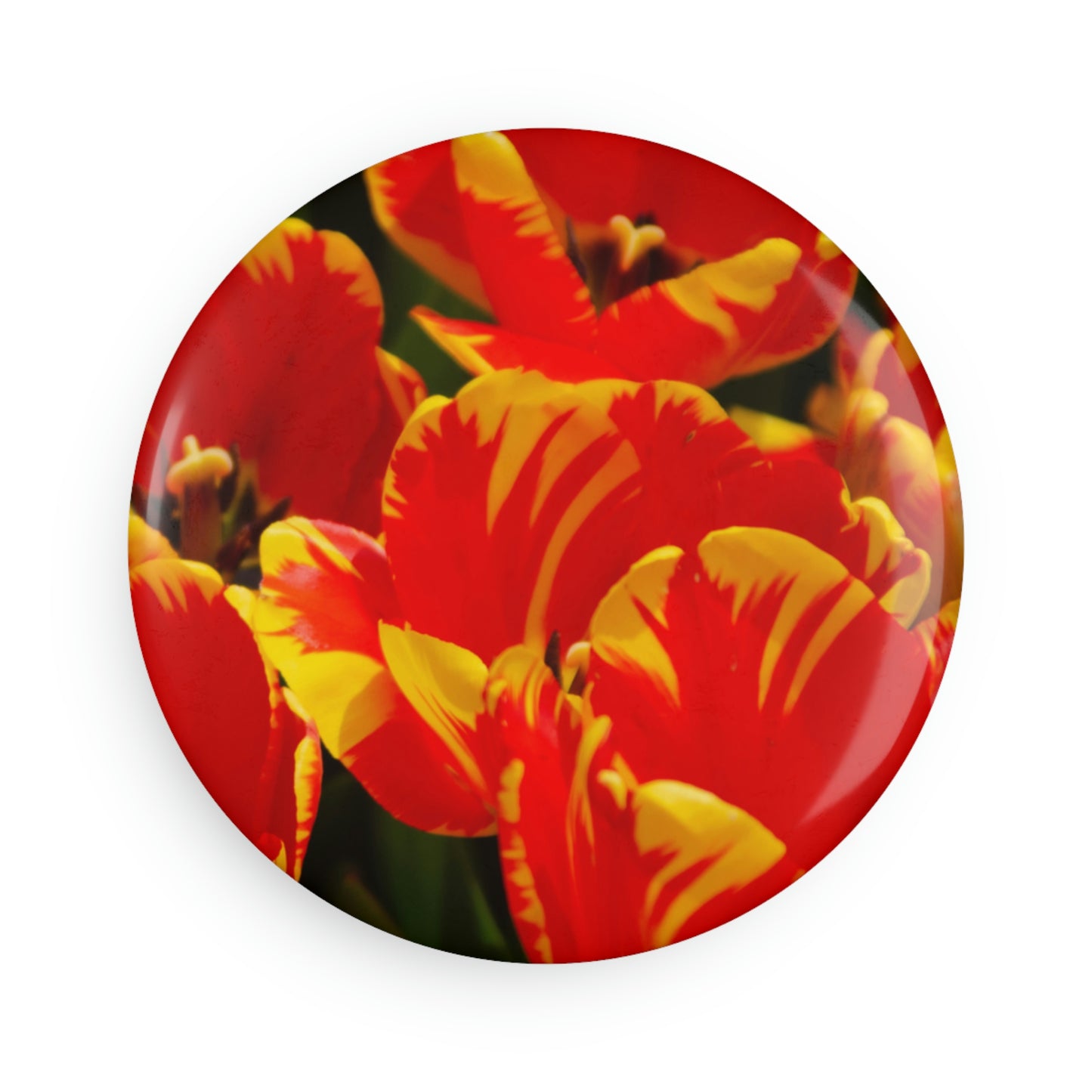 Flowers 19 Button Magnet, Round (1 & 10 pcs)