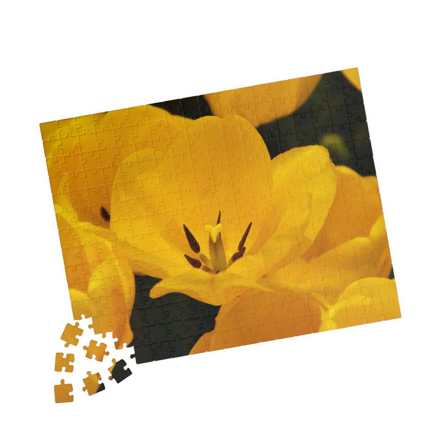 Flowers 16 Puzzle (110, 252, 500, 1014-piece)