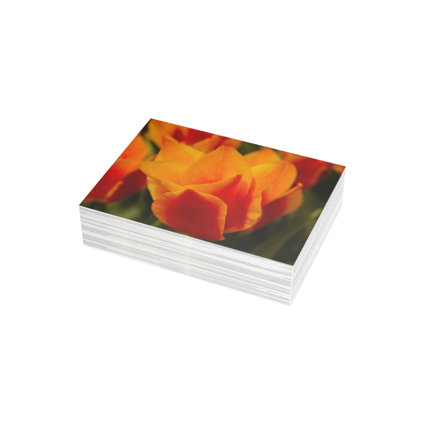 Flowers 13 Greeting Card Bundles (envelopes not included)