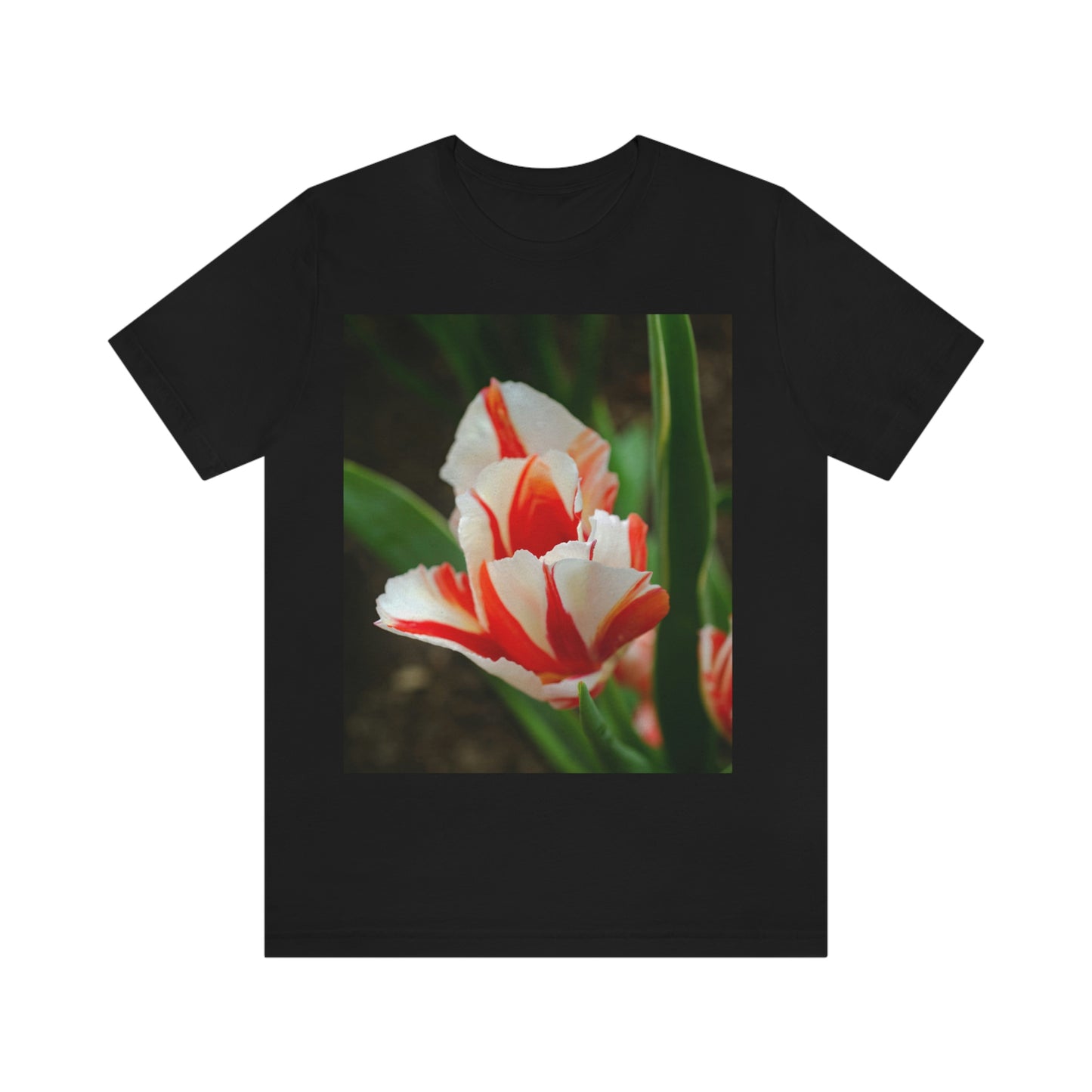 Flowers 06 Unisex Jersey Short Sleeve Tee