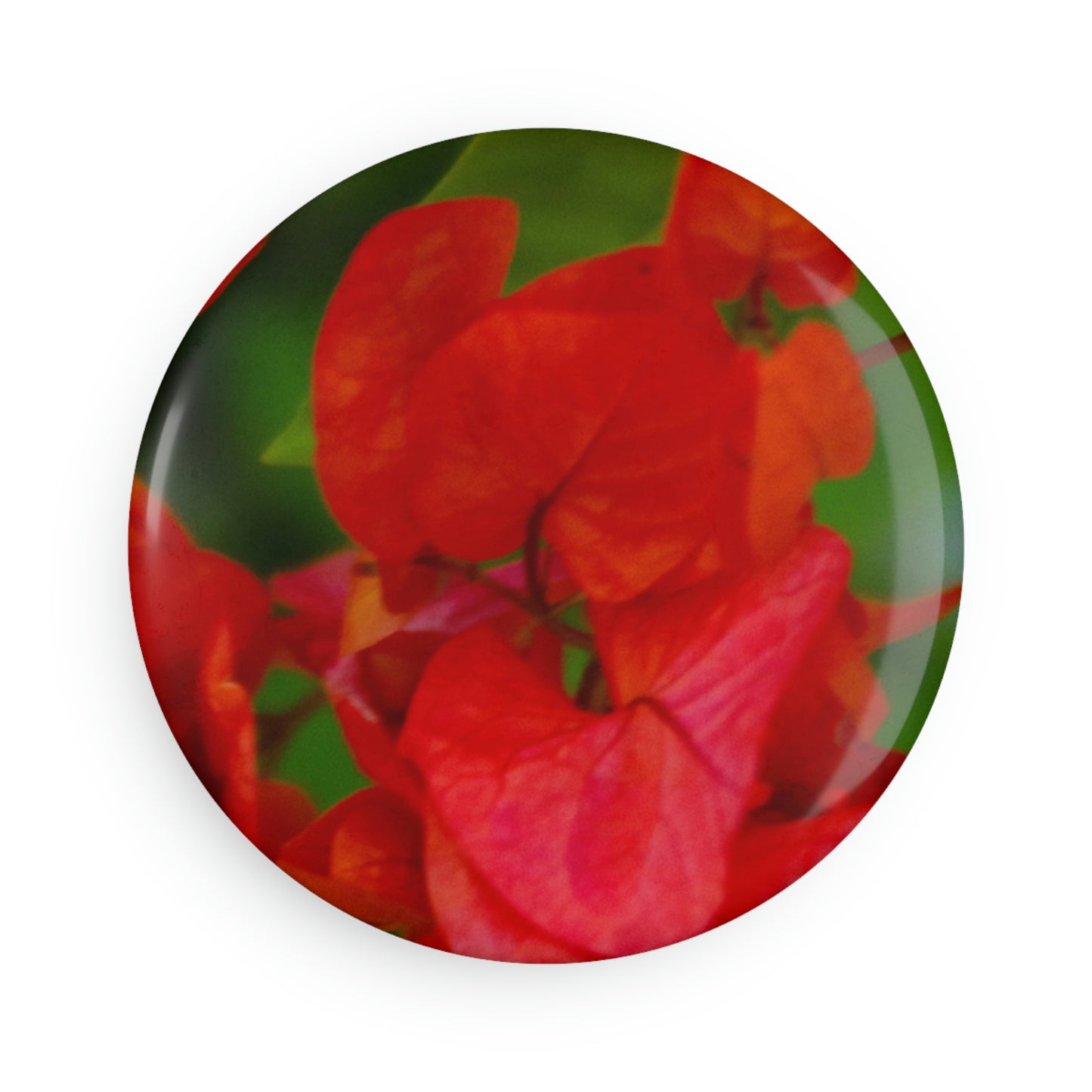 Flowers 28 Button Magnet, Round (1 & 10 pcs)