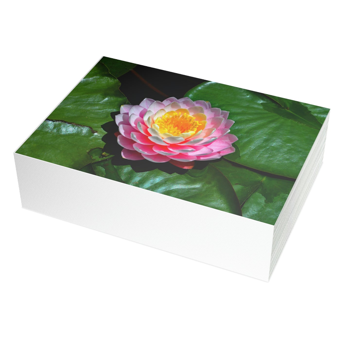 Flowers 25 Greeting Card Bundles (envelopes not included)