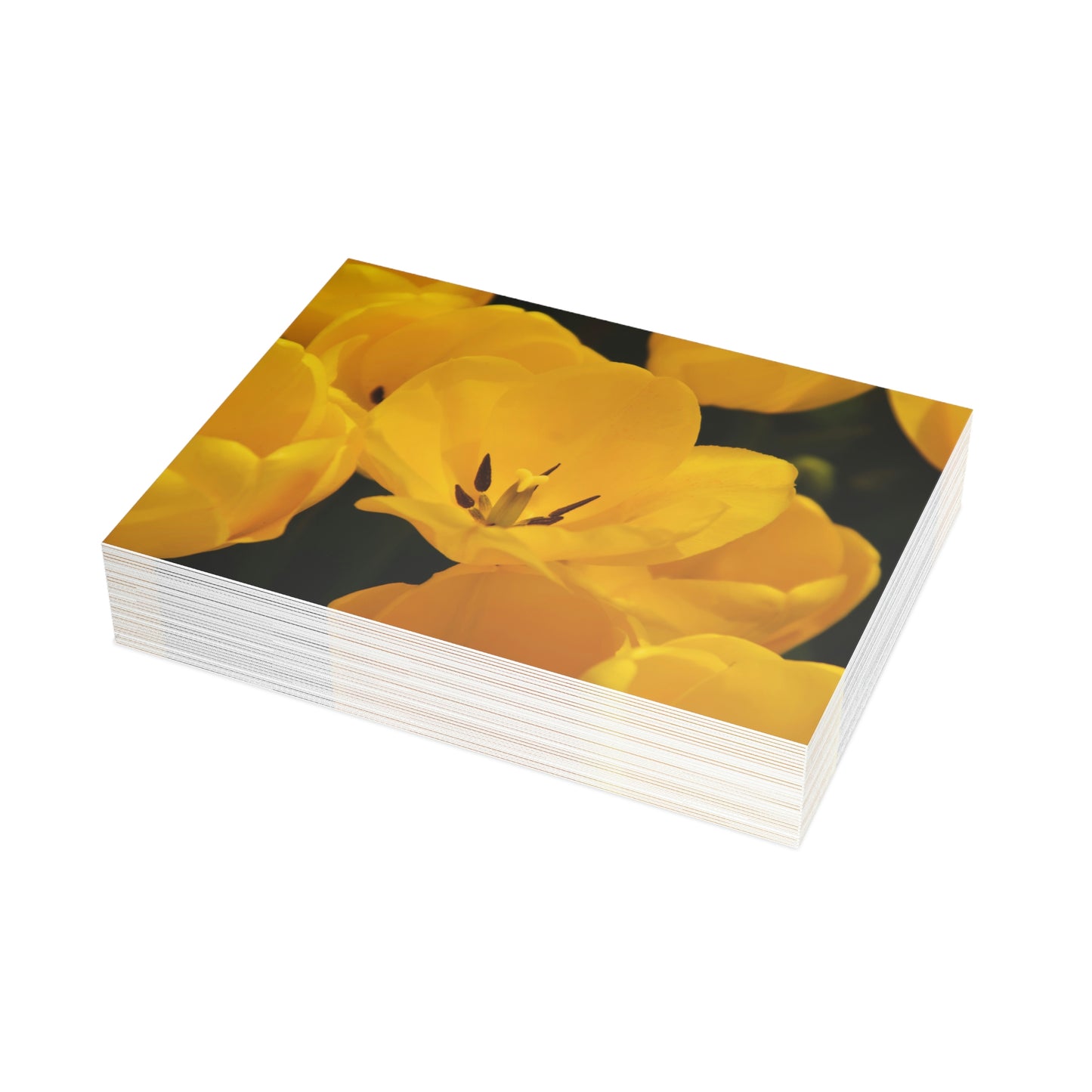 Flowers 16 Greeting Card Bundles (envelopes not included)