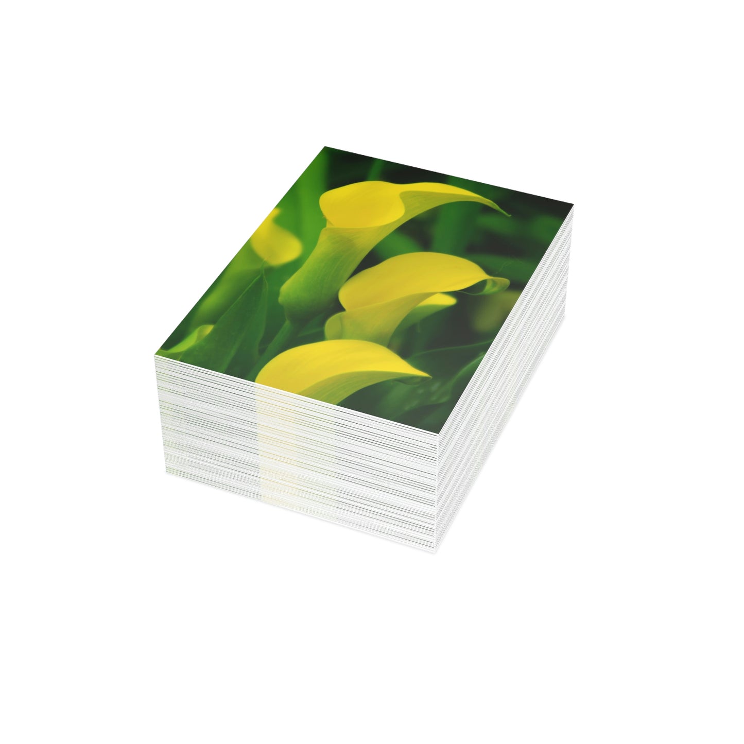 Flowers 33 Greeting Cards (1, 10, 30, and 50pcs)