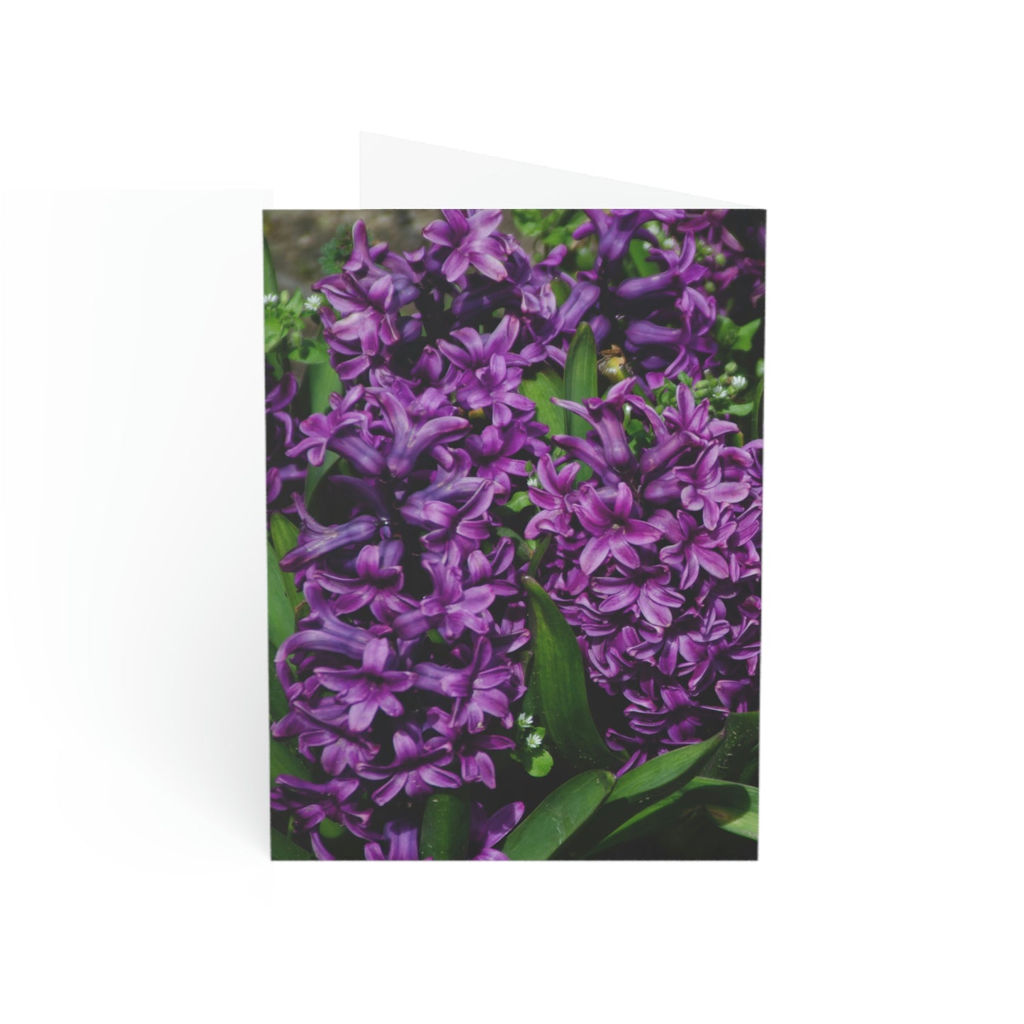 Flowers 21 Greeting Cards (1, 10, 30, and 50pcs)