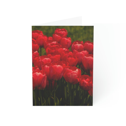 Flowers 22 Greeting Cards (1, 10, 30, and 50pcs)