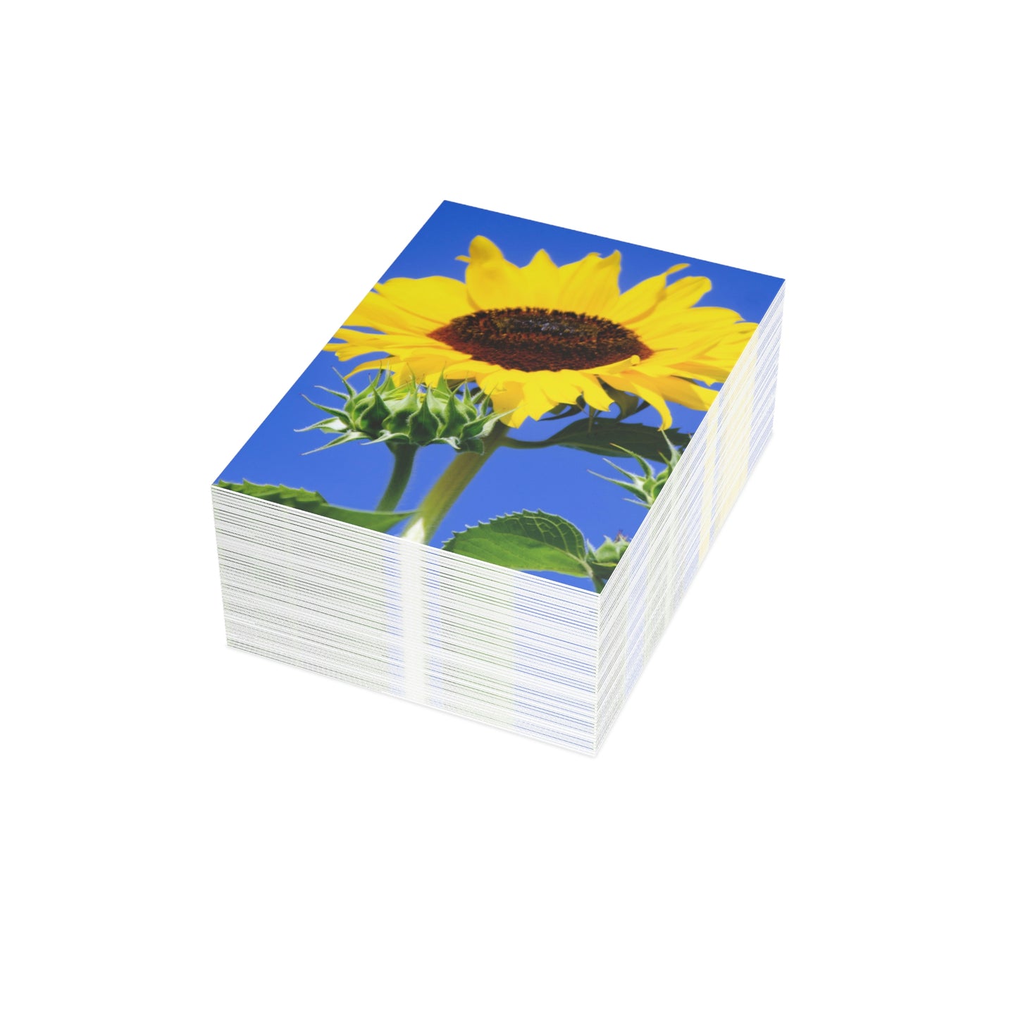 Flowers 02 Greeting Cards (1, 10, 30, and 50pcs)