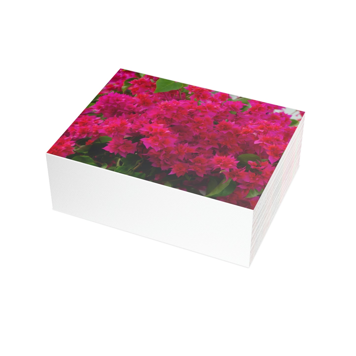 Flowers 28 Greeting Card Bundles (envelopes not included)