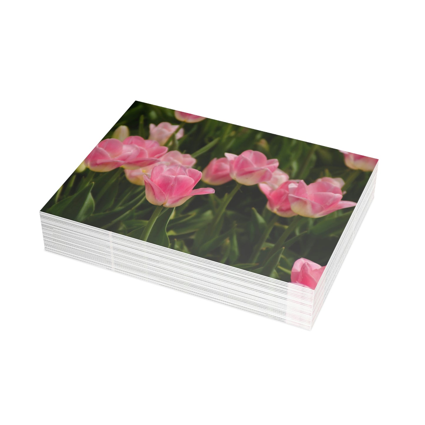 Flowers 17 Greeting Card Bundles (envelopes not included)