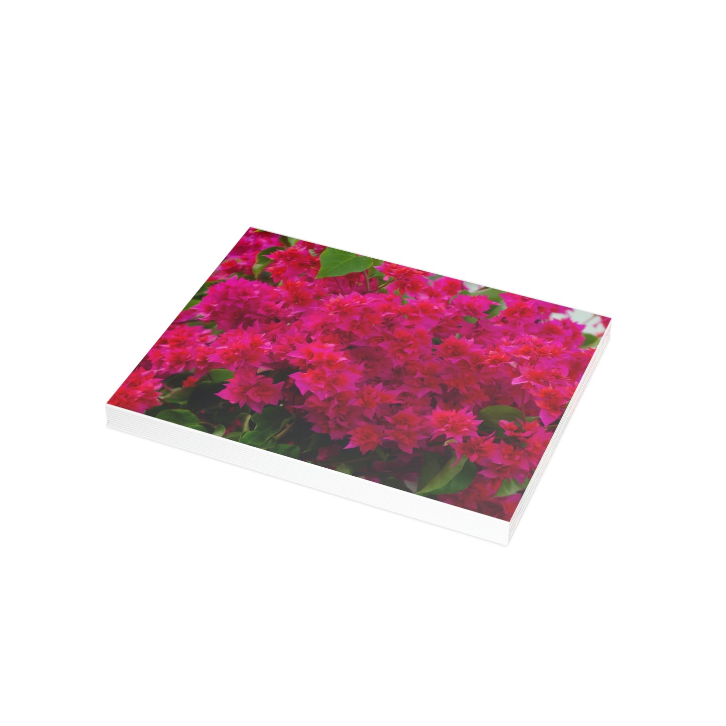 Flowers 28 Greeting Card Bundles (envelopes not included)