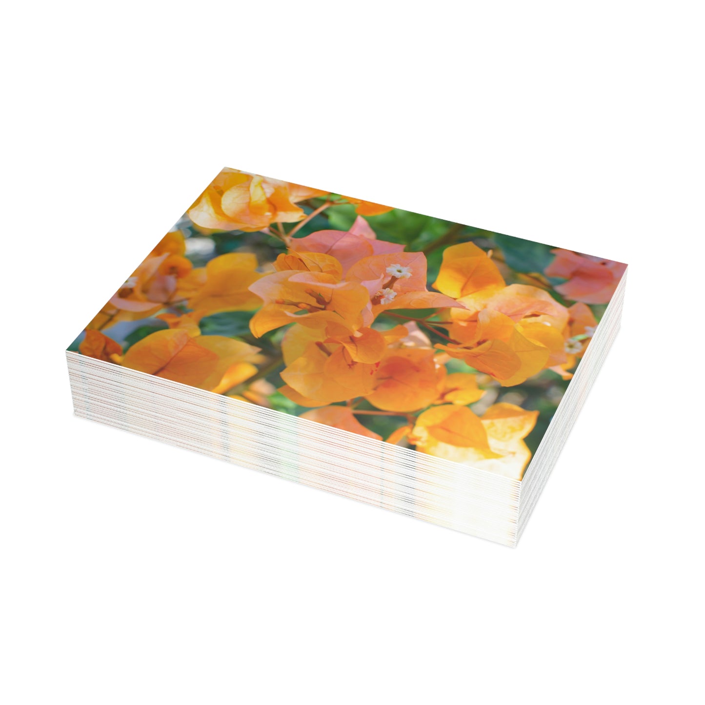 Flowers 29 Greeting Card Bundles (envelopes not included)