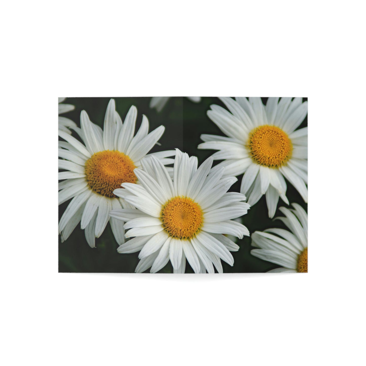 Flowers 01 Greeting Cards (1, 10, 30, and 50pcs)