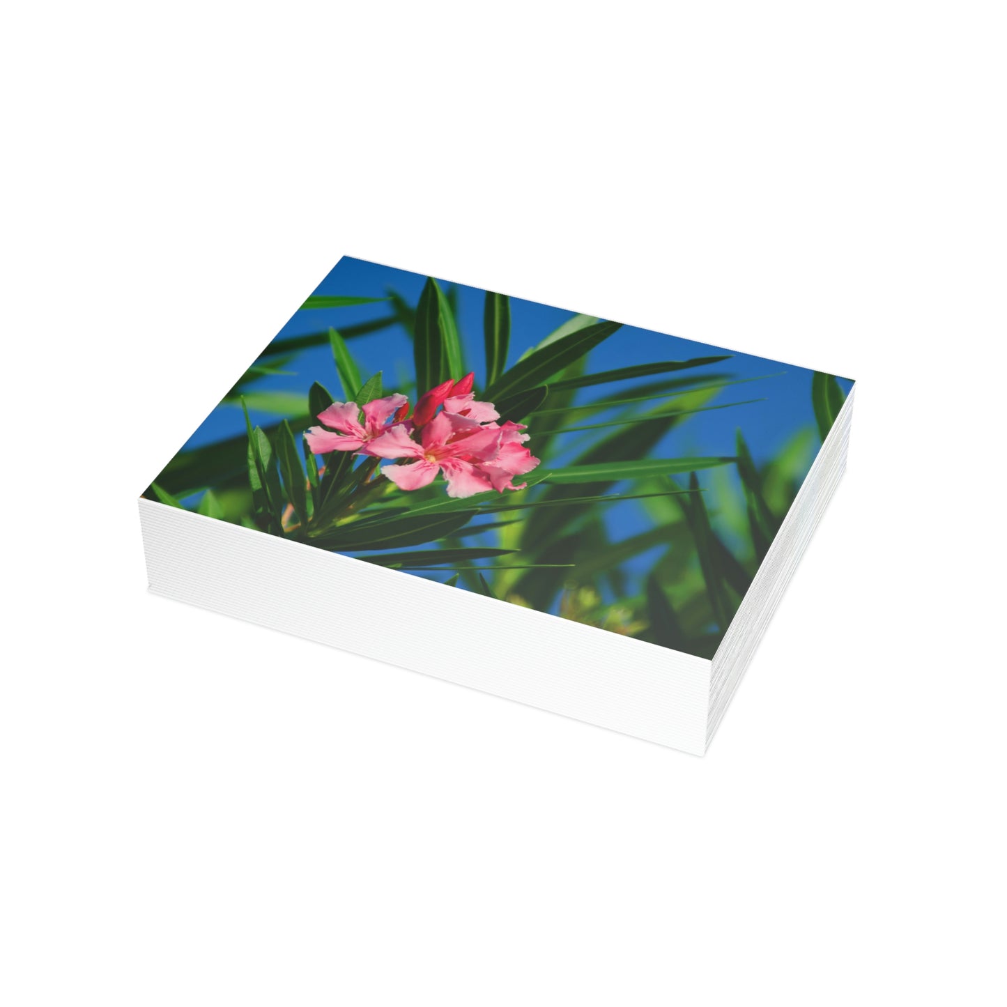 Flowers 30 Greeting Card Bundles (envelopes not included)