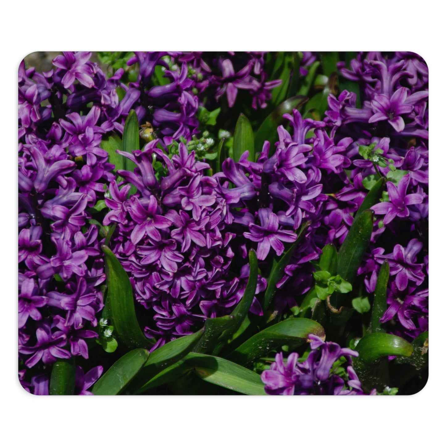 Flowers 21 Rectangle Mouse Pad