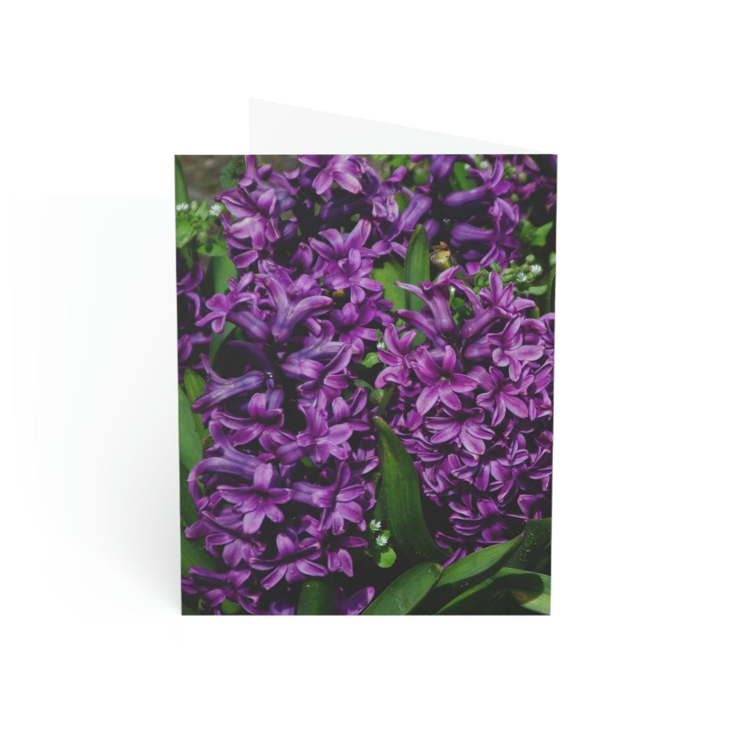 Flowers 21 Greeting Cards (1, 10, 30, and 50pcs)