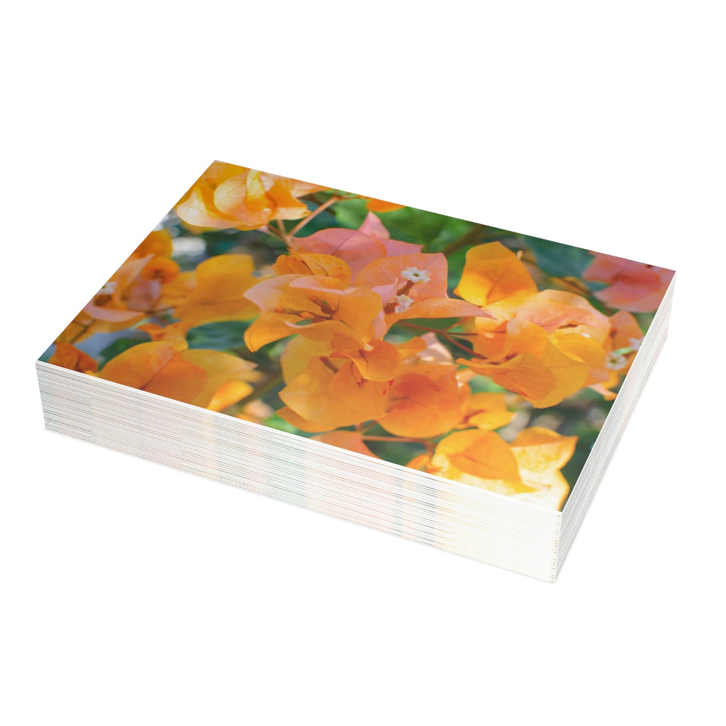 Flowers 29 Greeting Card Bundles (envelopes not included)