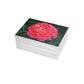 Flowers 08 Greeting Card Bundles (envelopes not included)